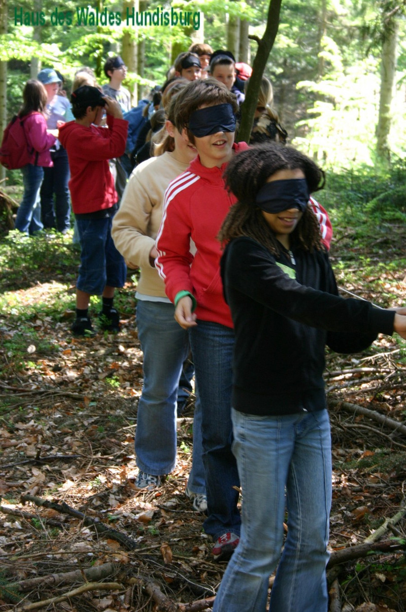 Kinder bei Waldaktivitäten mit verbundenen Augen